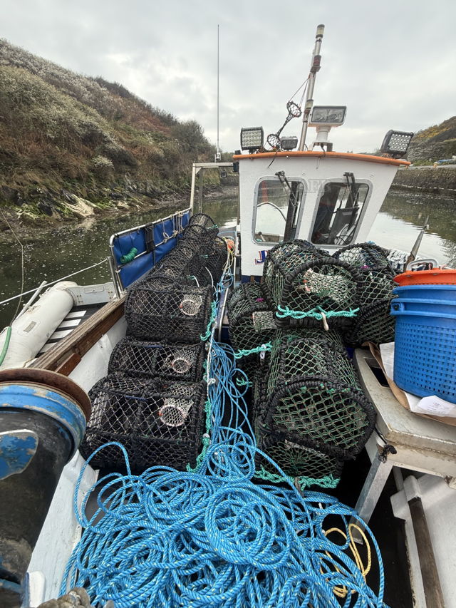 Large picture for advert 143291