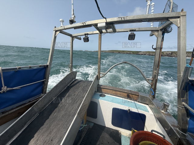 Large picture for advert 143291