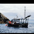 Thumbnail for picture 15