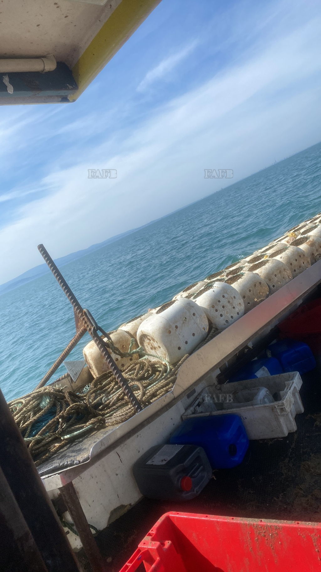 CRAB,LOBSTER,Whelks,WHITE FISH AND PRAWNS