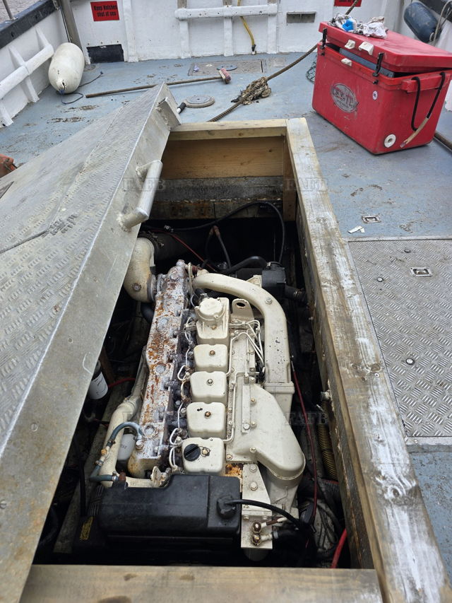 Large picture for advert 141293