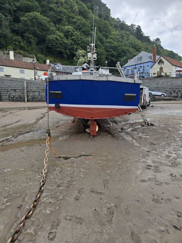 Large picture for advert 141293