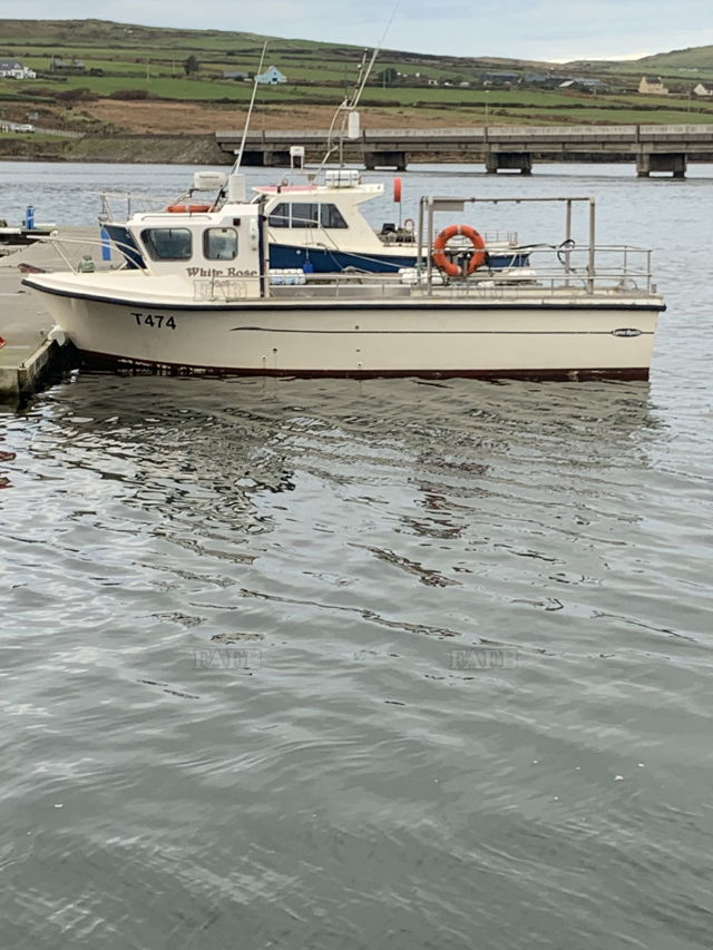 Large picture for advert 141296