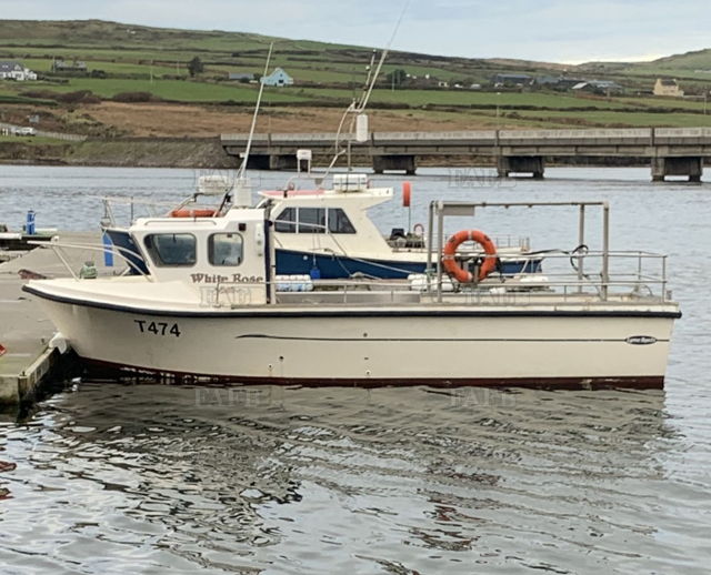 Large picture for advert 141296