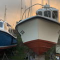 Extra picture for advert 141296