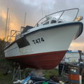 Extra picture for advert 141296