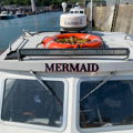 Extra picture for advert 148296