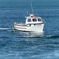 Extra picture for advert 148296