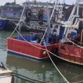 Extra picture for advert 147003