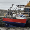 Extra picture for advert 147003