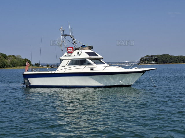 Large picture for advert 143300