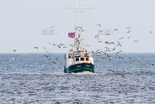 Large picture for advert 144300