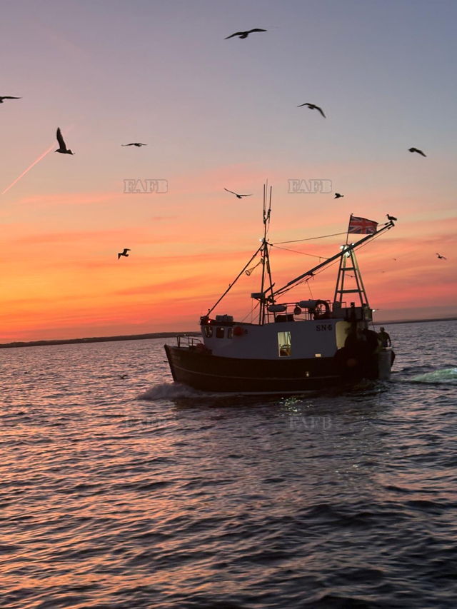 Large picture for advert 144300