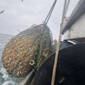 Extra picture for advert 144300