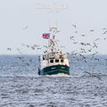 Extra picture for advert 144300