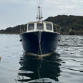 Extra picture for advert 148301