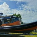Thumbnail for picture 5