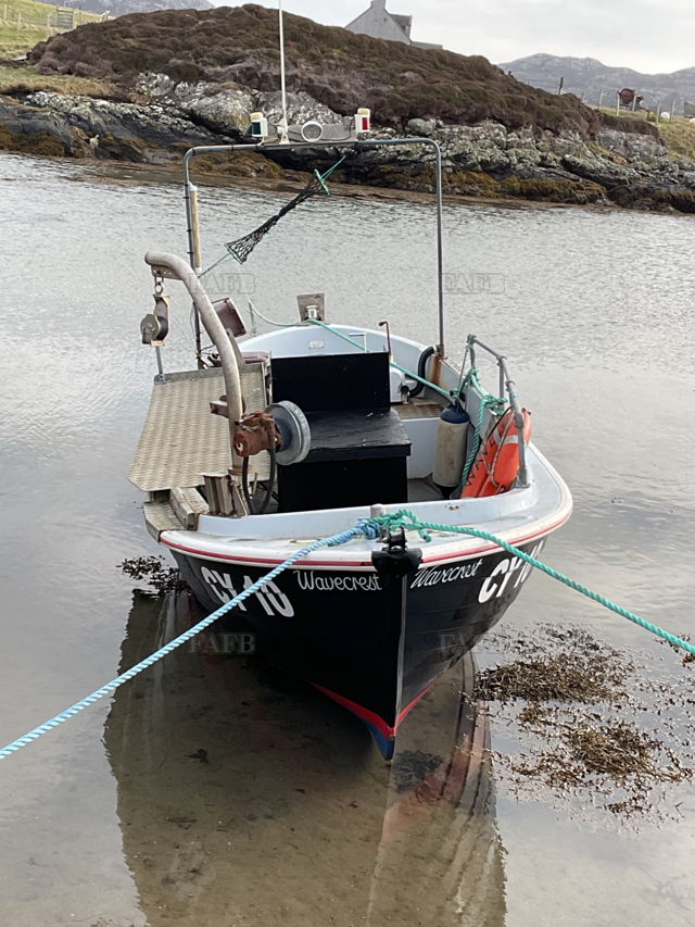 Large picture for advert 141306