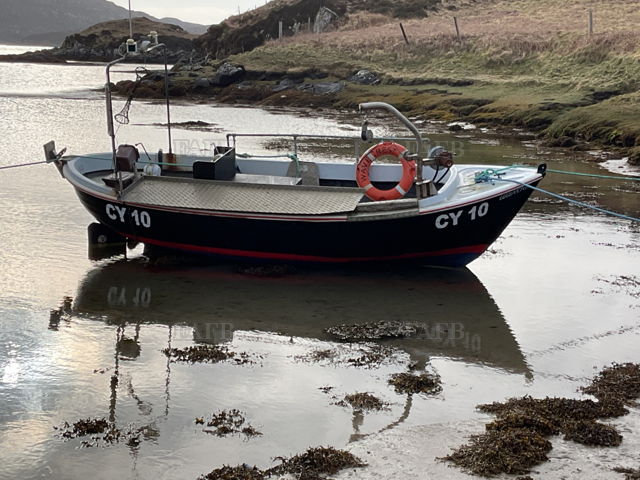 Large picture for advert 141306