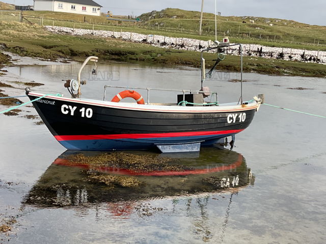 Large picture for advert 141306