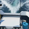 Thumbnail for picture 11
