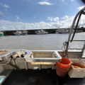 Extra picture for advert 146306