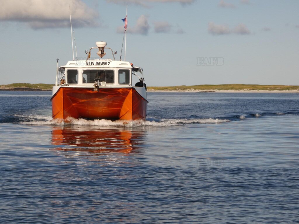 8.6m catamaran