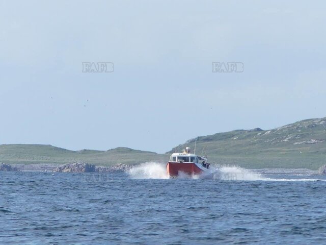 Large picture for advert 118307