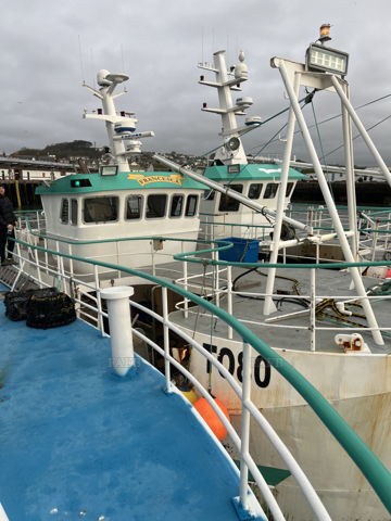 Vivier crabber/ netter