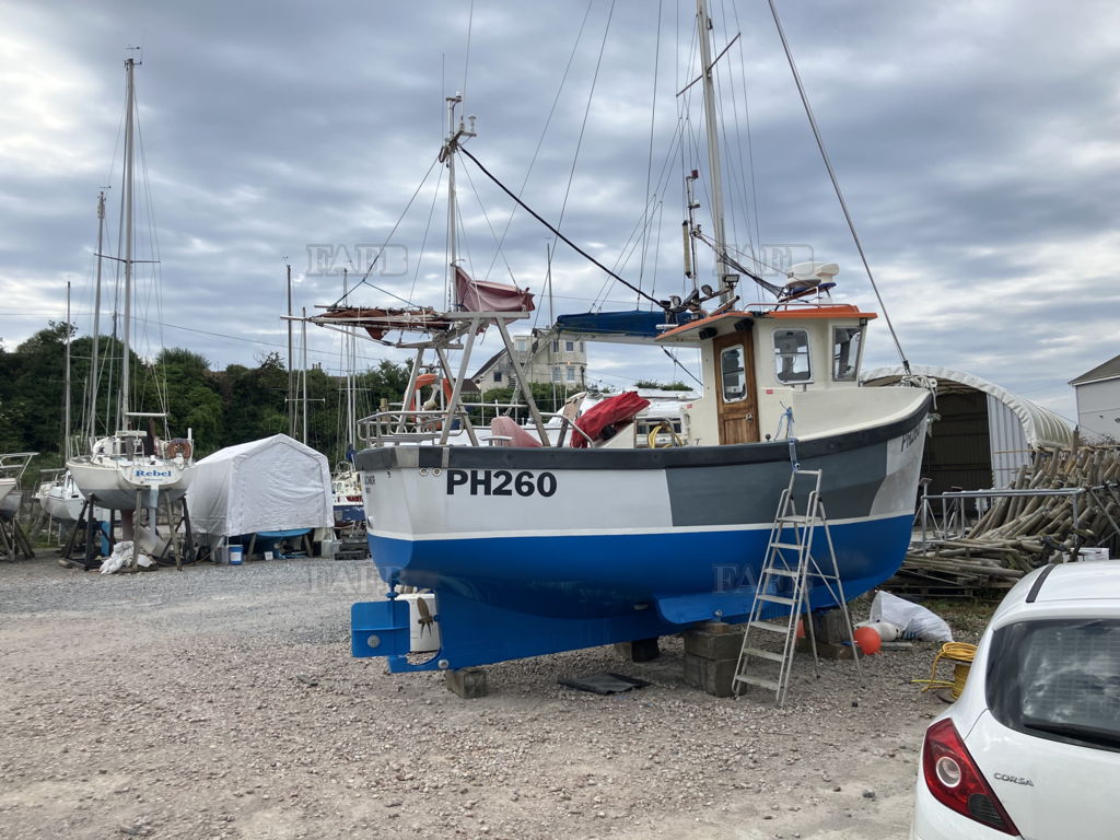 Treeve 20