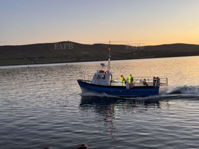 Large picture for advert 142310