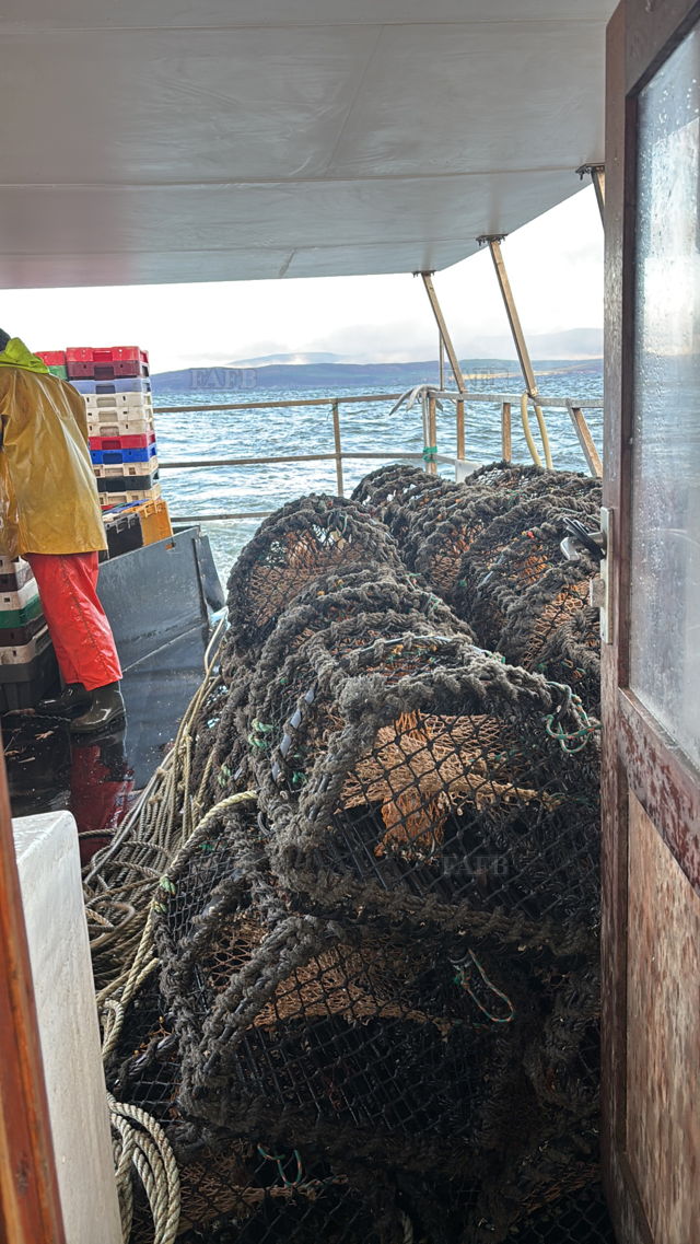 Large picture for advert 142310