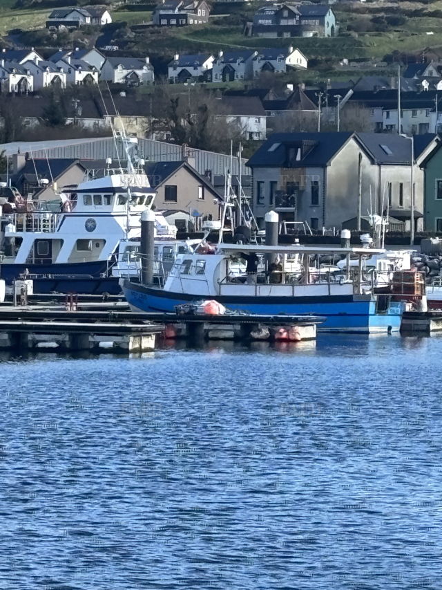 Large picture for advert 142310