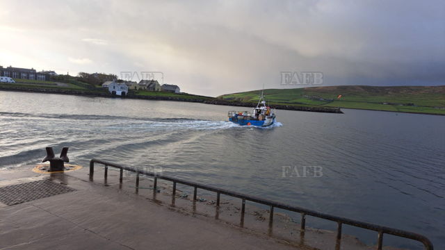 Large picture for advert 142310