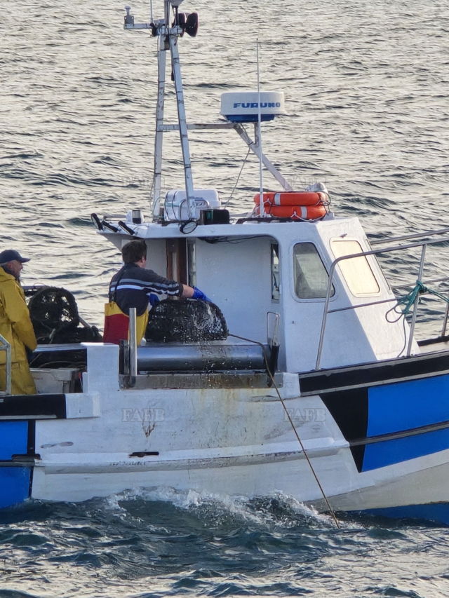 Large picture for advert 142310