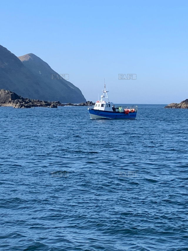 Large picture for advert 142310