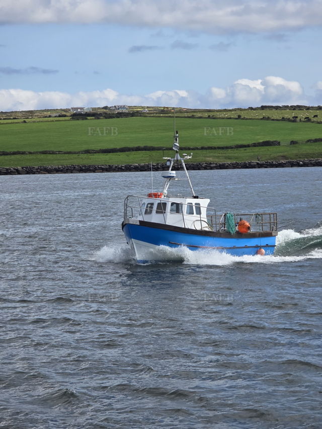 Large picture for advert 142310