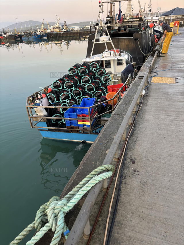 Large picture for advert 142310