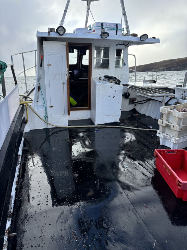 Large picture for advert 142310