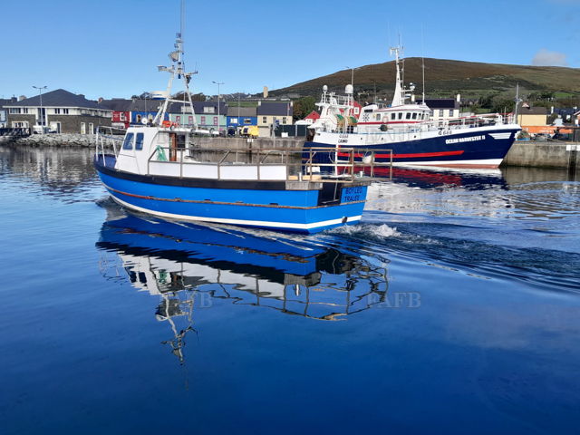 Large picture for advert 142310