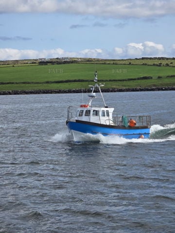 Suffolk 32