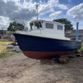 Extra picture for advert 138312