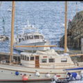 Extra picture for advert 142314