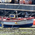 Thumbnail for picture 5