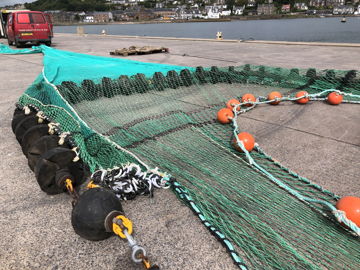 Squid hopper gear