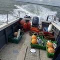 Extra picture for advert 147316