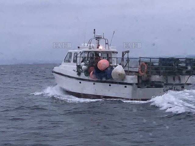 Large picture for advert 144319