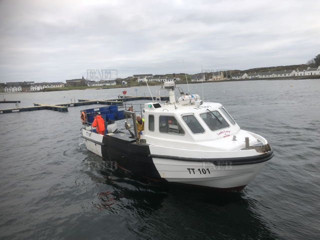 Large picture for advert 144319