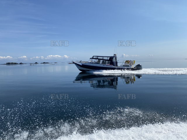 Large picture for advert 145032