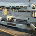 Extra picture for advert 148032